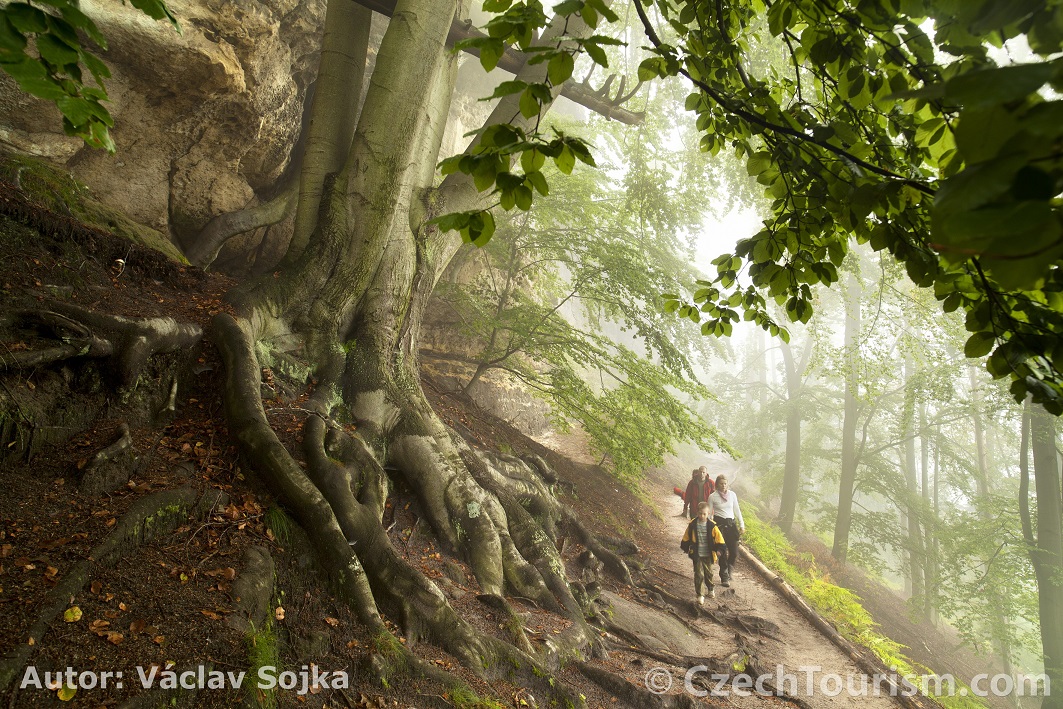 Gabrielina Trail is one of the most beautiful tour in Czech Switzerland